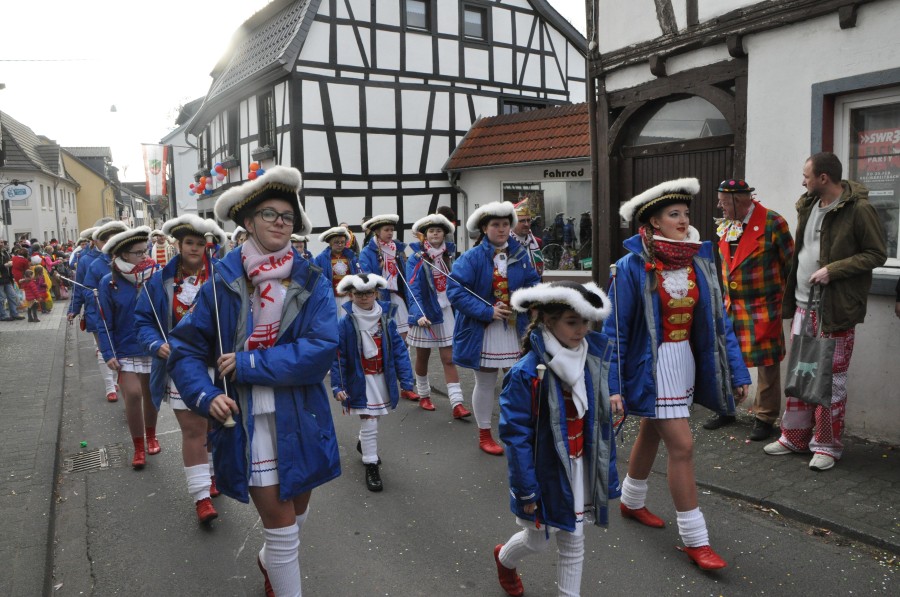 Foto Karnevalszug 2017
