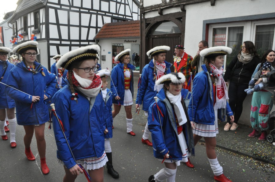 Foto Karnevalszug 2017
