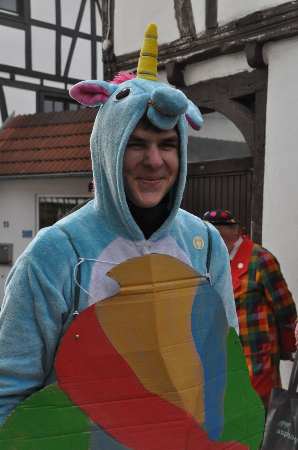 Foto Karnevalszug 2017