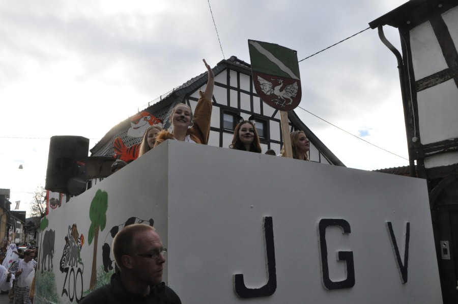 Foto Karnevalszug 2017