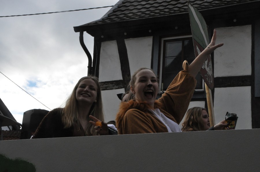 Foto Karnevalszug 2017