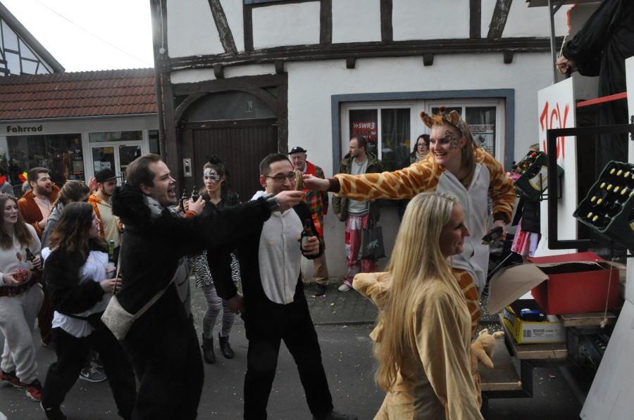 Foto Karnevalszug 2017