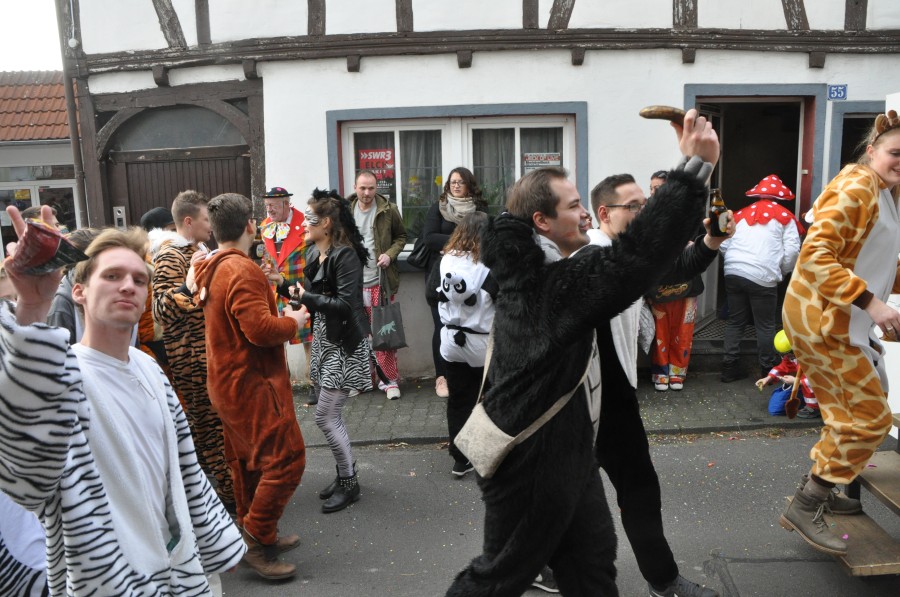 Foto Karnevalszug 2017