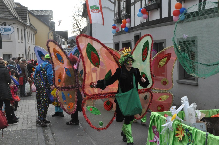 Foto Karnevalszug 2017