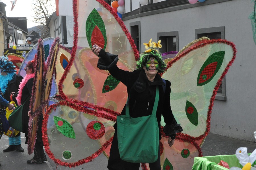 Foto Karnevalszug 2017