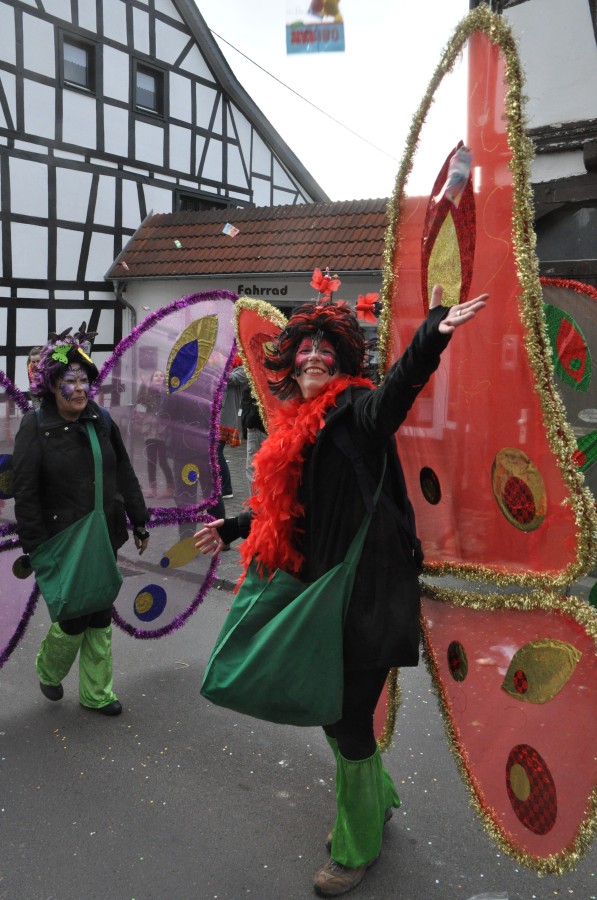 Foto Karnevalszug 2017