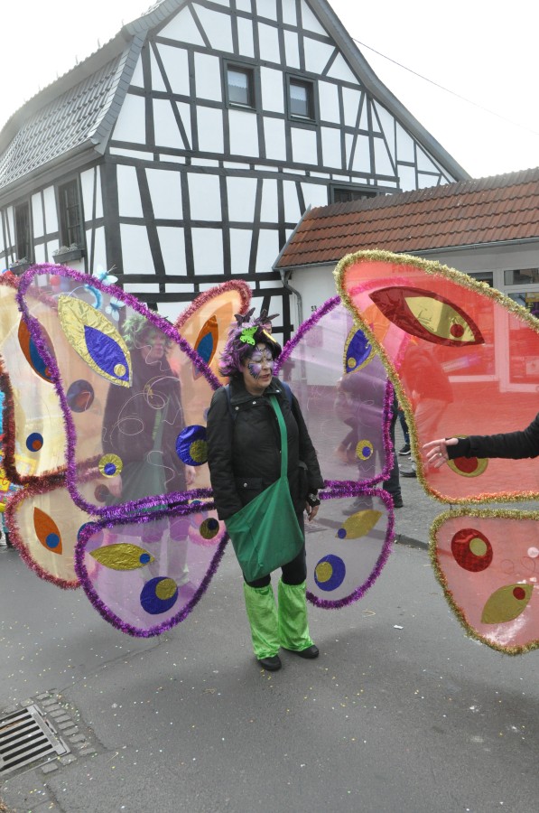 Foto Karnevalszug 2017