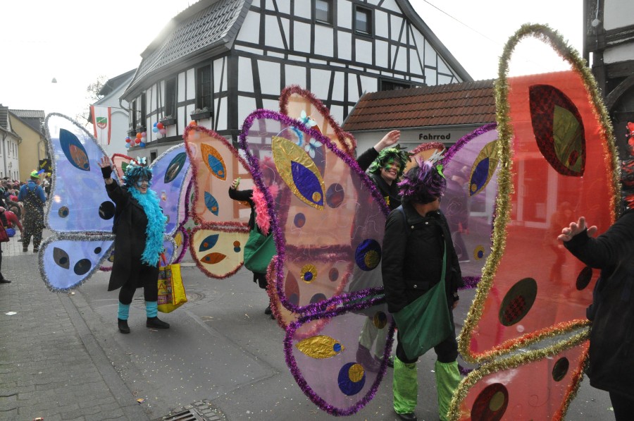 Foto Karnevalszug 2017