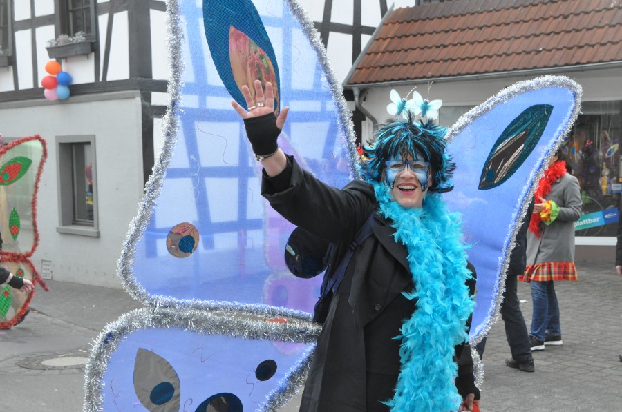 Foto Karnevalszug 2017