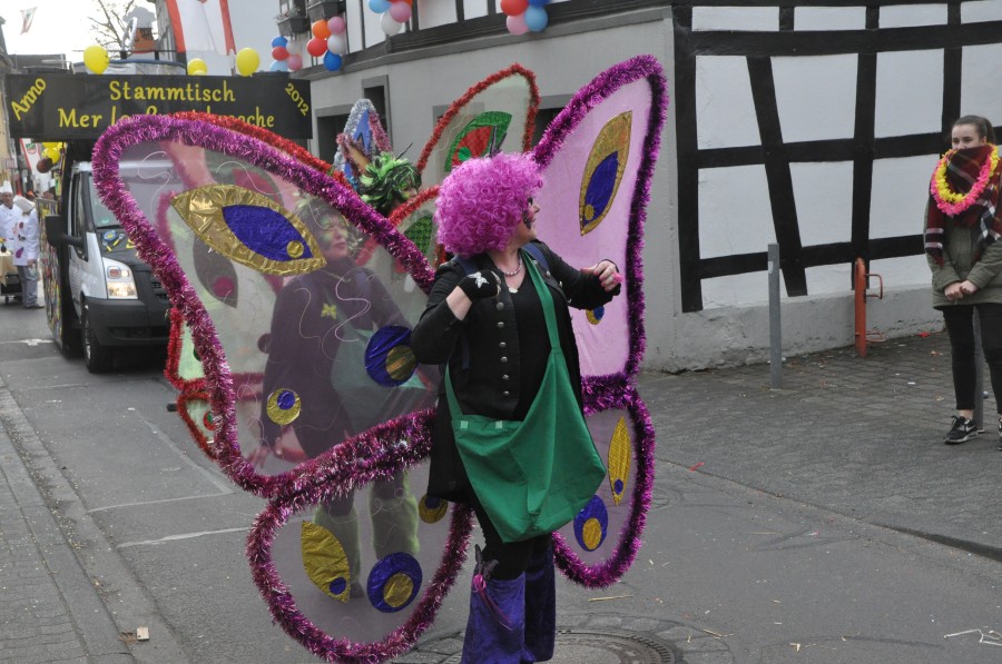Foto Karnevalszug 2017
