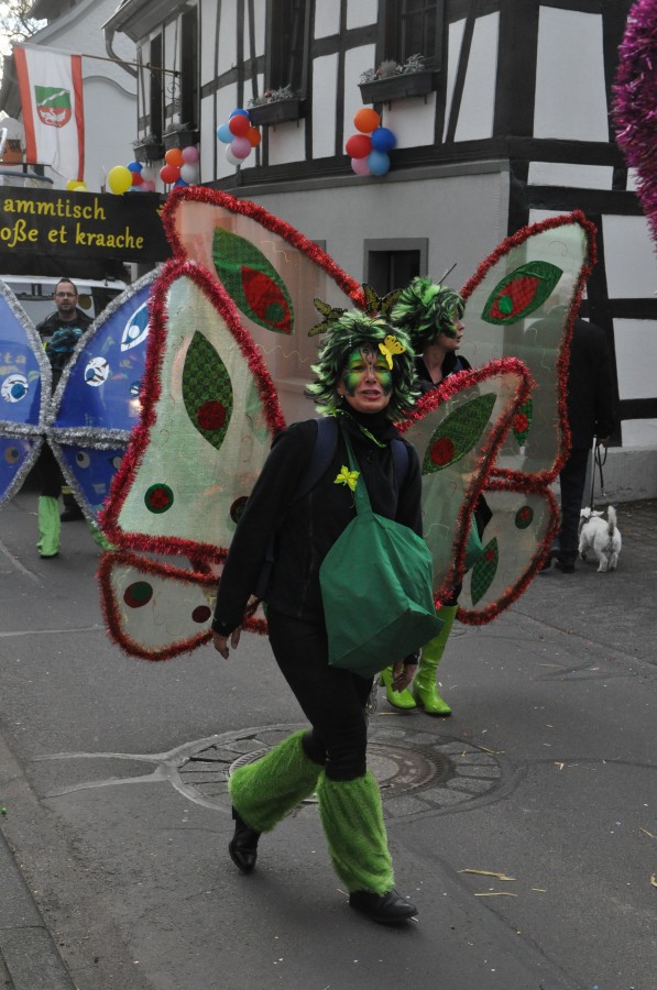 Foto Karnevalszug 2017