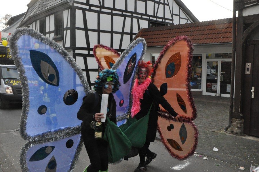 Foto Karnevalszug 2017