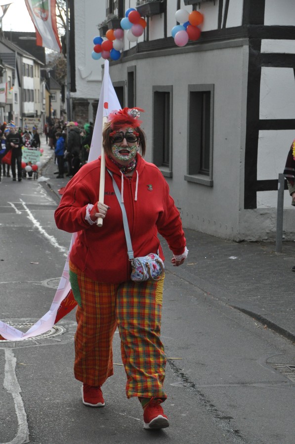 Foto Karnevalszug 2017