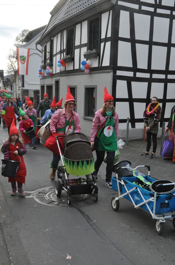 Foto Karnevalszug 2017