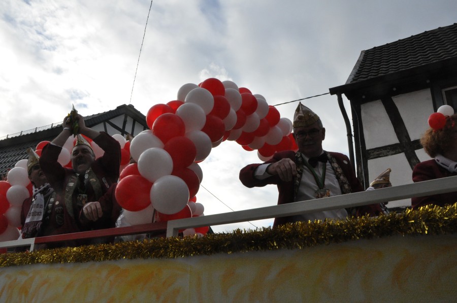 Foto Karnevalszug 2017