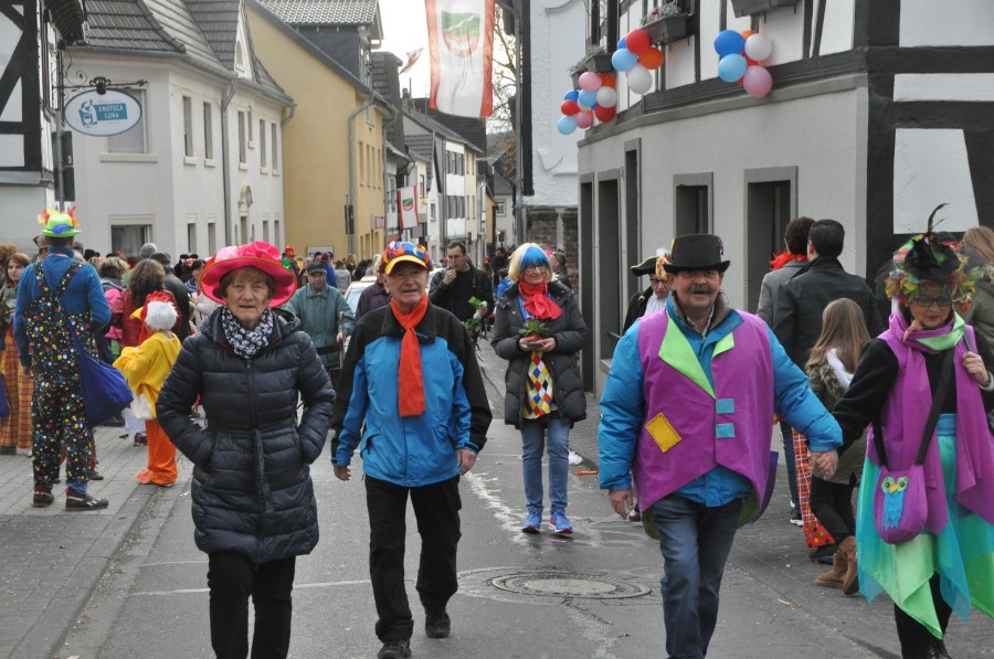 Foto Karnevalszug 2017