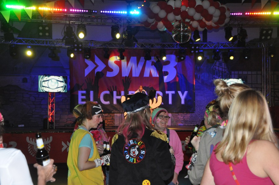 Foto SWR3 ElchParty 2018