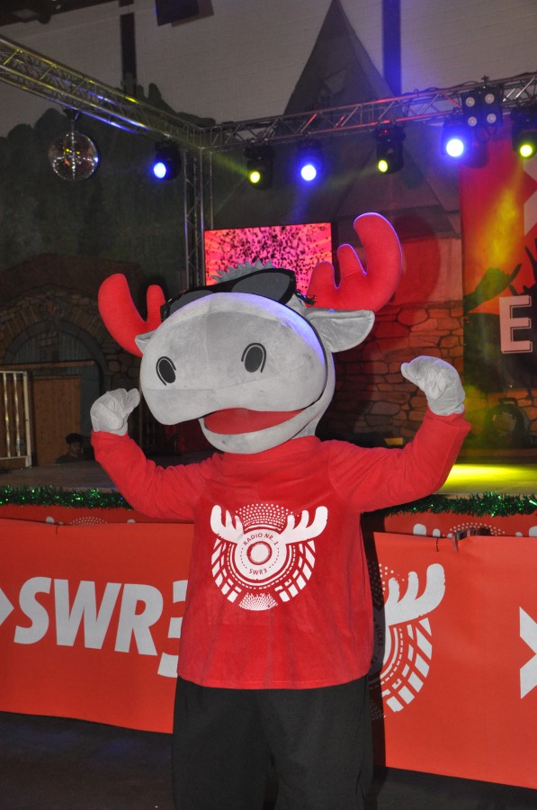 Foto SWR3 ElchParty 2018