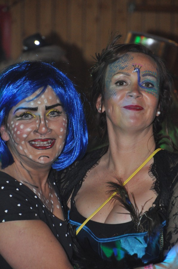 Foto SWR3 ElchParty 2018