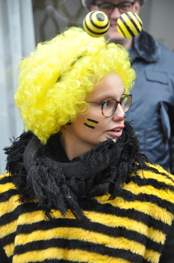 Foto Karnevalszug 2018