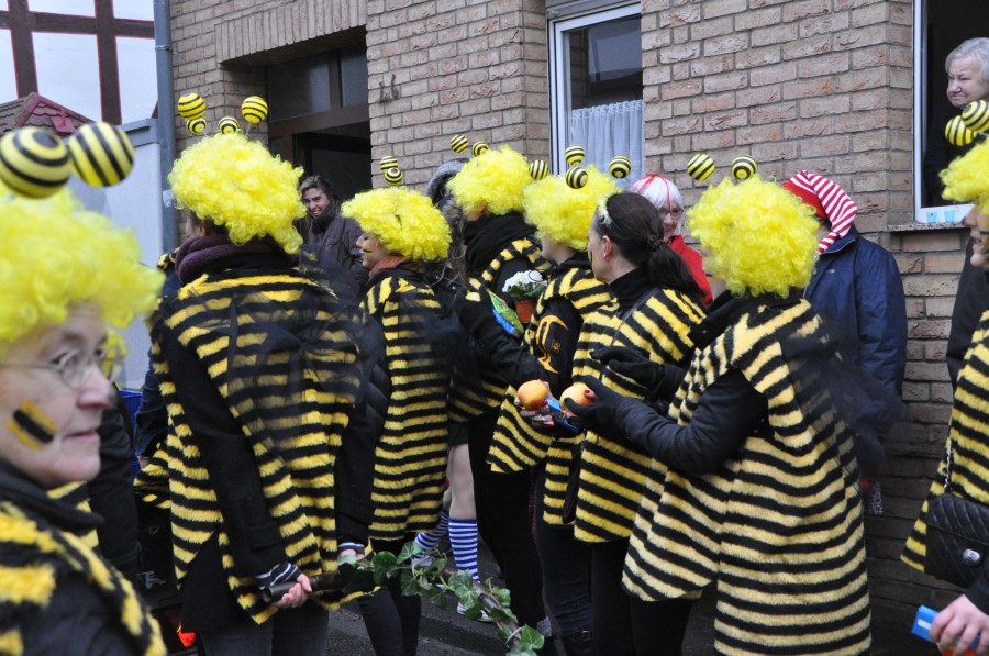 Foto Karnevalszug 2018