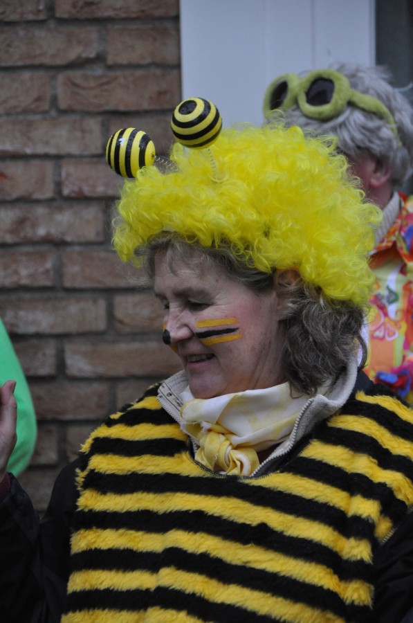 Foto Karnevalszug 2018