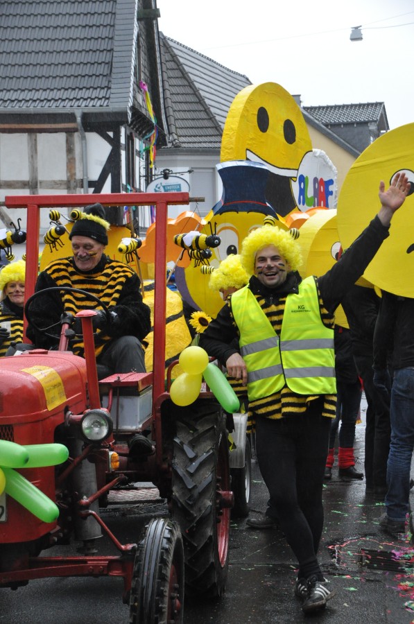Foto Karnevalszug 2018