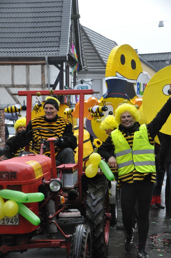 Foto Karnevalszug 2018