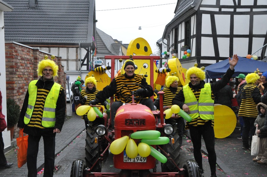 Foto Karnevalszug 2018