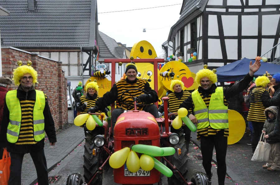 Foto Karnevalszug 2018