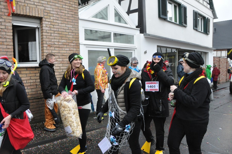 Foto Karnevalszug 2018