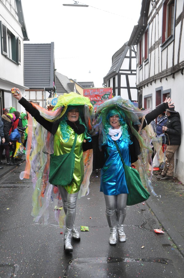 Foto Karnevalszug 2018