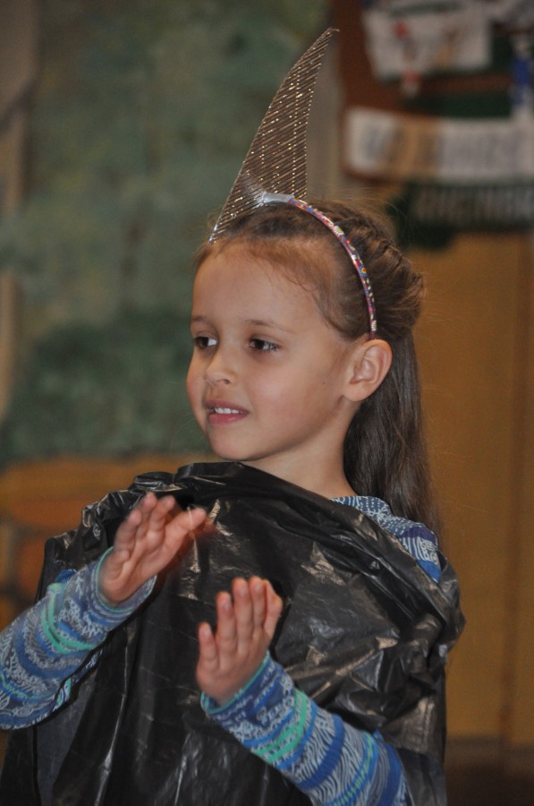 Foto Seniorenkarneval 2019