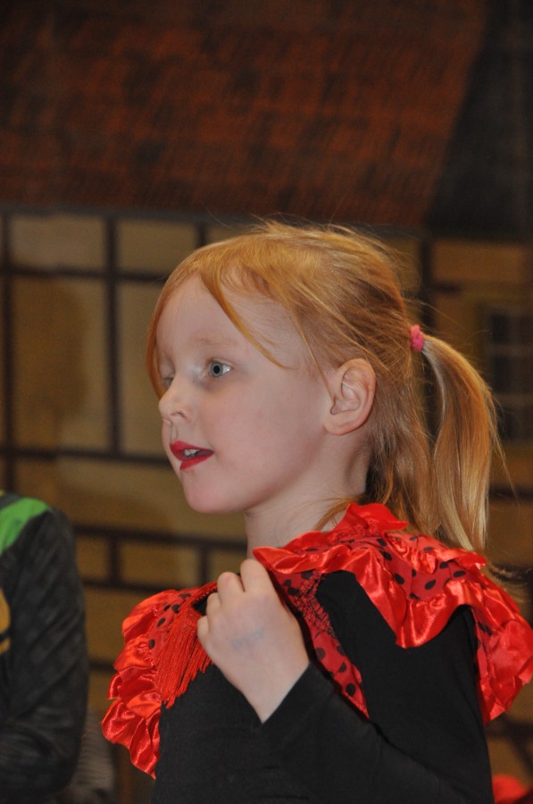 Foto Kinderkarneval 2019