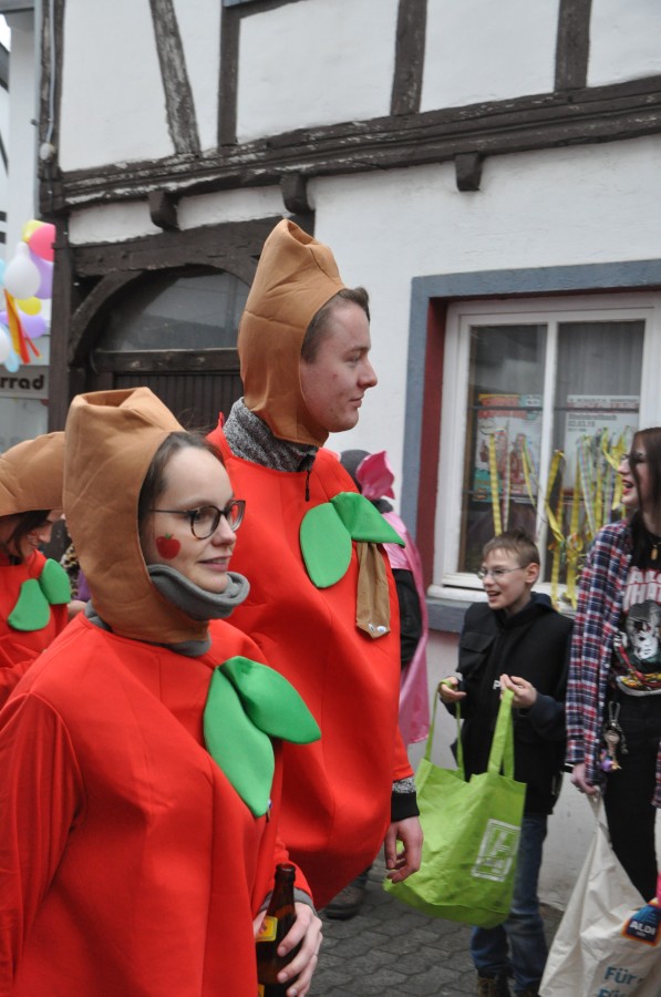 Foto Karnevalszug 2019