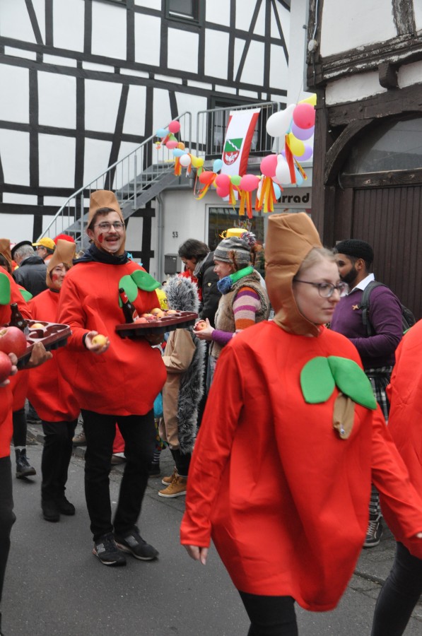 Foto Karnevalszug 2019