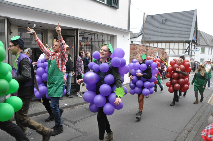 Foto Karnevalszug 2019