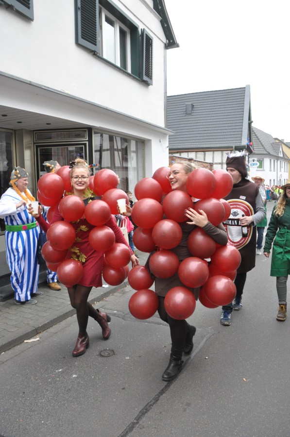 Foto Karnevalszug 2019