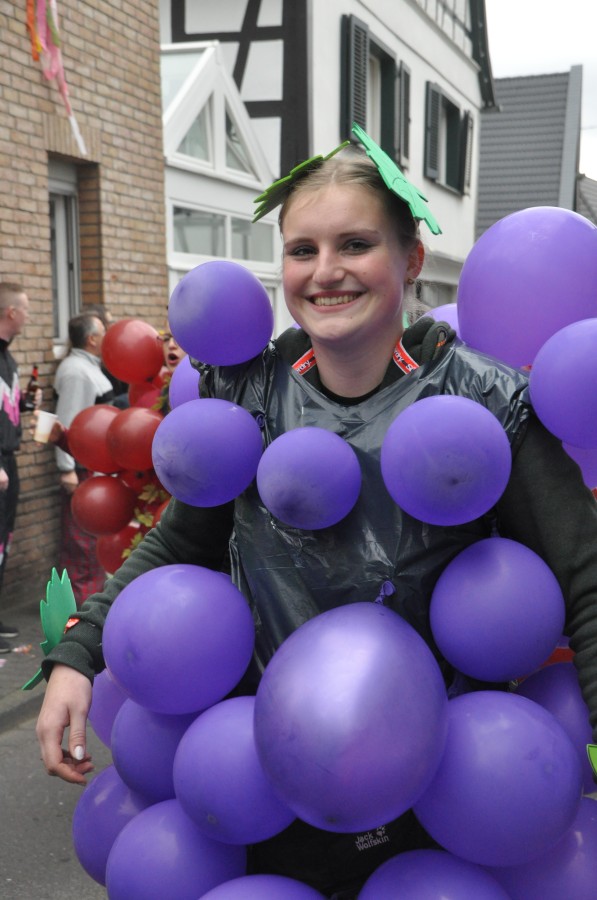 Foto Karnevalszug 2019