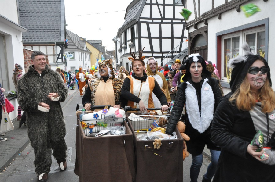 Foto Karnevalszug 2019