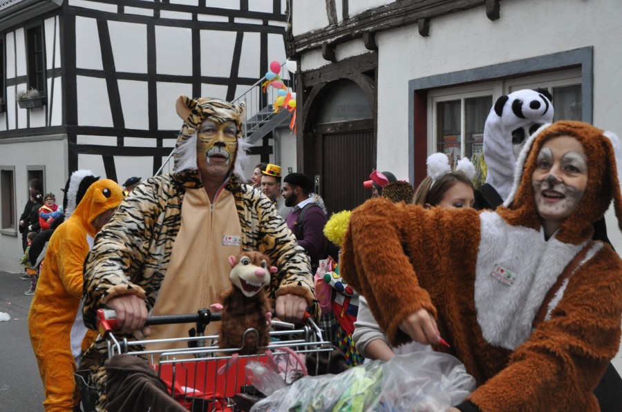 Foto Karnevalszug 2019