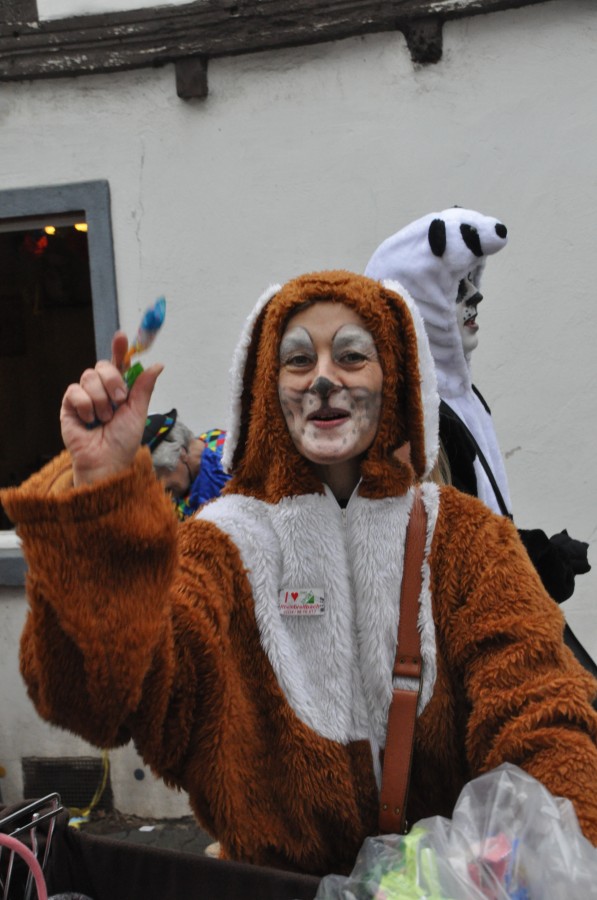 Foto Karnevalszug 2019