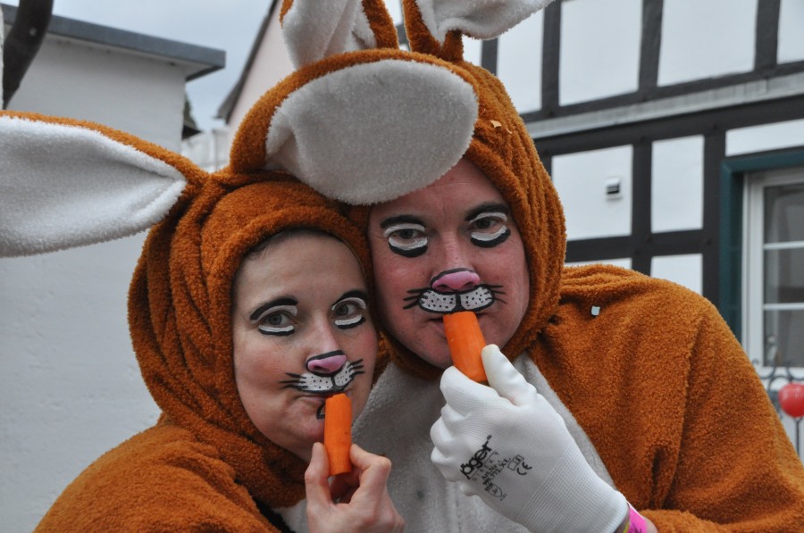 Foto Karnevalszug 2019