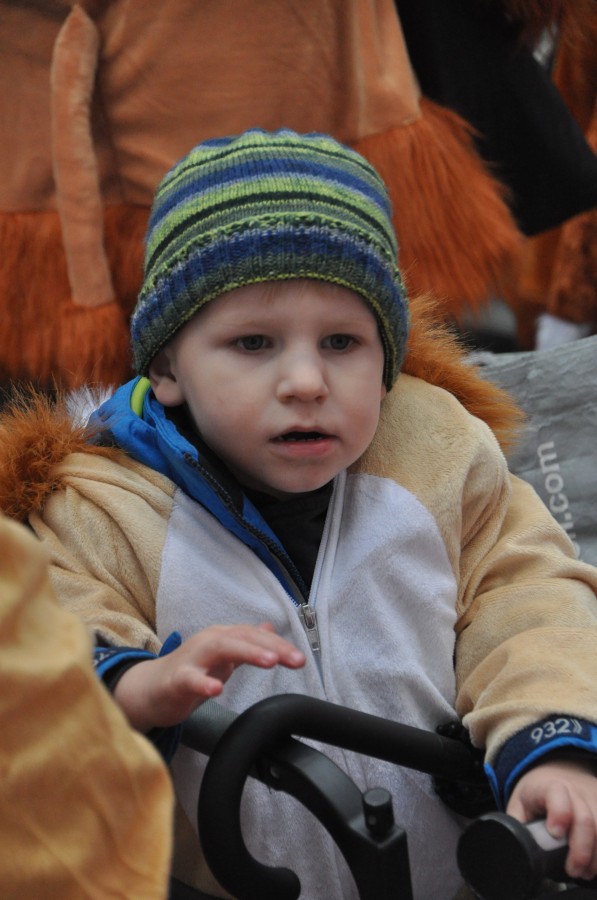 Foto Karnevalszug 2019