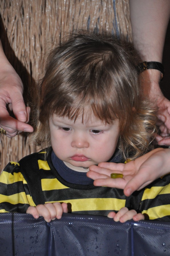 Foto Kinderkarneval 2020