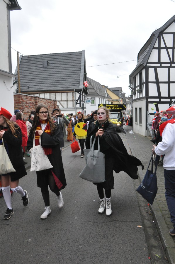 Foto Karnevalszug 2020