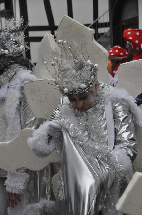 Foto Karnevalszug 2020