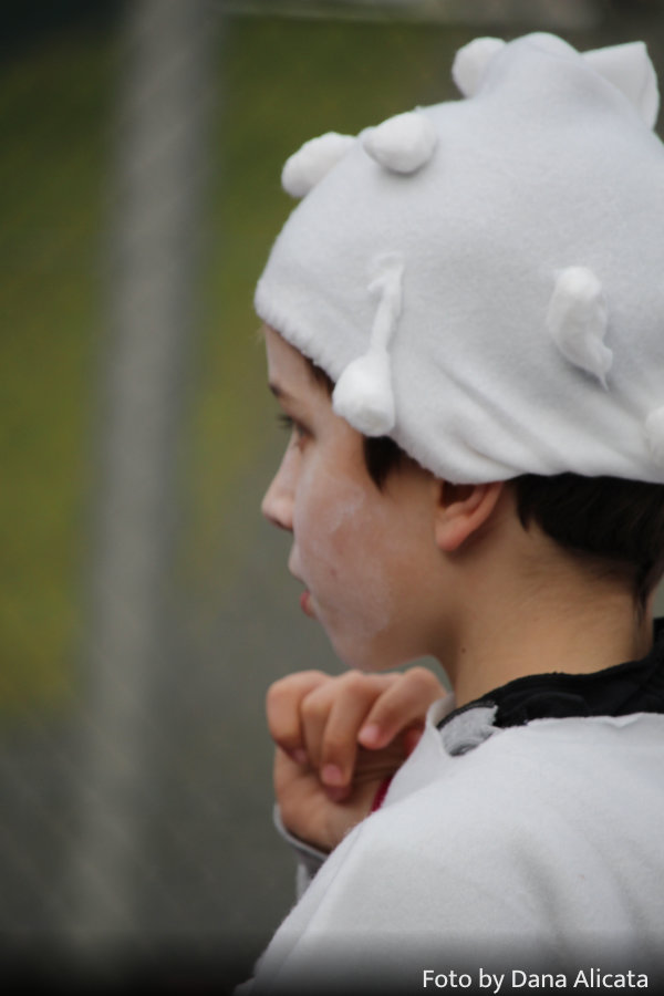 Foto Karnevalszug 2023