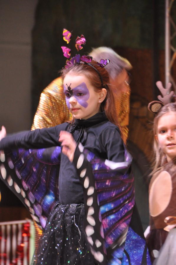 Foto Seniorenkarneval 2024