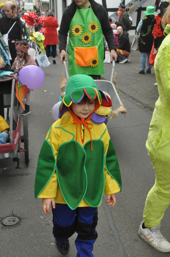 Foto Karnevalszug 2024